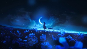 moonlight