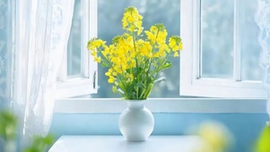 护眼花草树木带鱼屏
