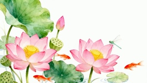 夏天荷花蜻蜓鱼