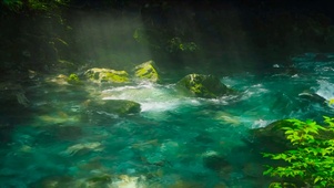 阳光下的流水