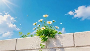 墙头鲜花