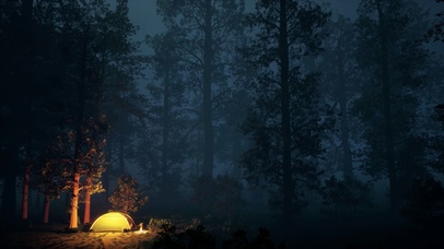 4k森林帐篷夜