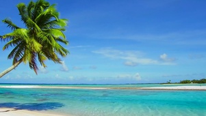 夏威夷椰树海滩