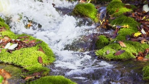 山涧流水