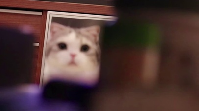 可可爱爱的小泡芙