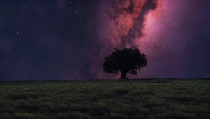 星空下的草地