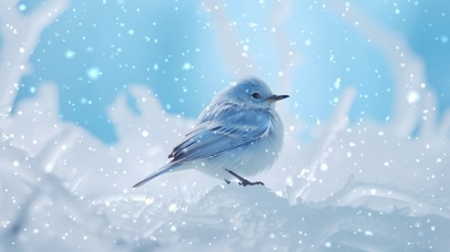 雪中蓝鸟