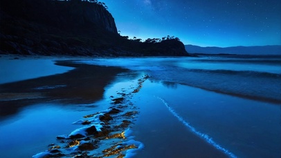 蓝色海