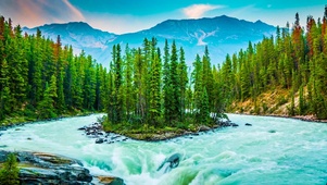 高山护眼自然河流