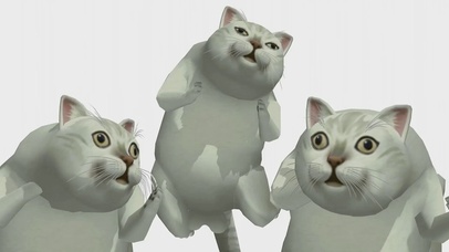 憨萌猫的舞蹈_1