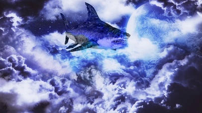 4K丶云上鲨鱼月