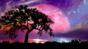 星海红月