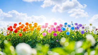 清新夏天小花