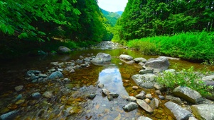 4K绿林山涧流水