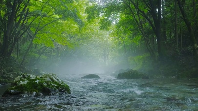 护眼绿林流水