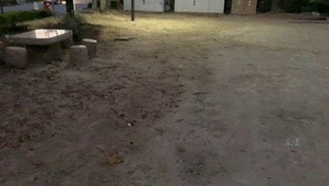 等风等雨也等你