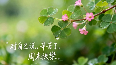 护眼小清新