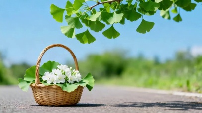 唯美清新的花花绿叶