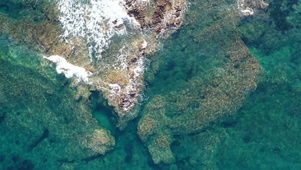 美丽海洋