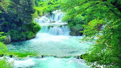 4k唯美森林瀑布