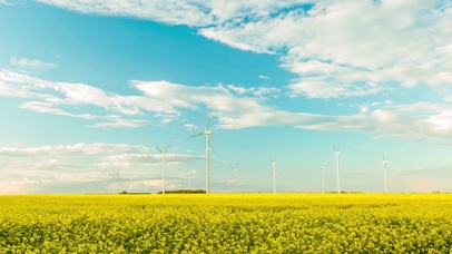 4K草原风车延时