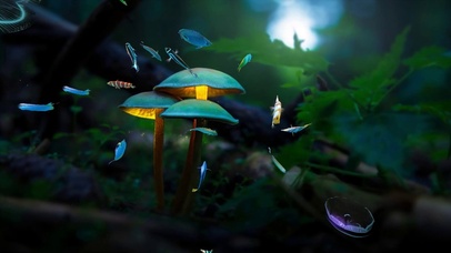 4K护眼海洋鱼儿