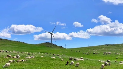 风吹草低见牛羊