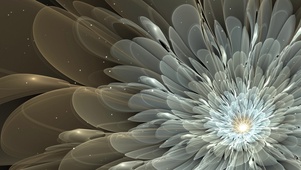花蕊