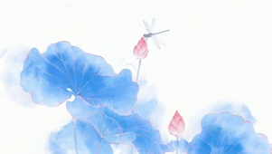 护眼小清新