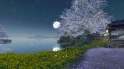 唯美古风月夜樱花湖畔