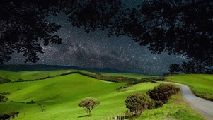 星空草地