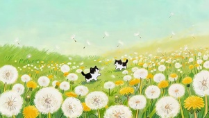 蒲公英花海玩耍的猫咪