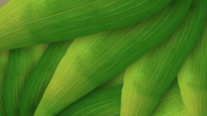 端午中国风国潮