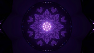 紫色隧道-3(双端)