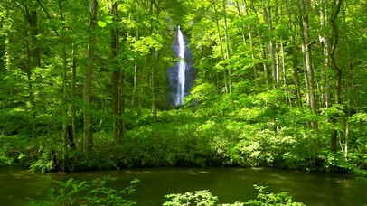 护眼绿林瀑布流水