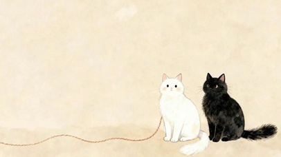 两只猫咪