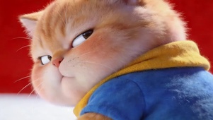 可爱猫咪