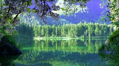4k高山森林