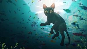 黑猫