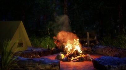 4K丶夜晚治愈篝火