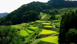 家乡田园