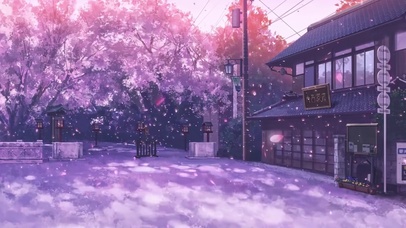 樱花街道