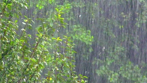 大雨冲刷