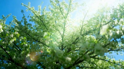 温馨阳光