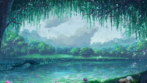 扬州荷花雨天