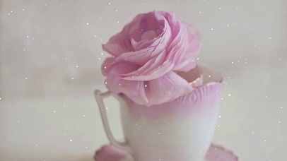 杯中治愈粉色系列花