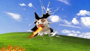 喷火的猫咪桌面壁纸