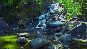 绿林山间流水
