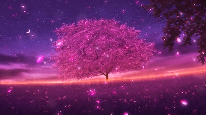 樱花树