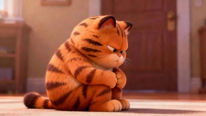 苦闷猫咪